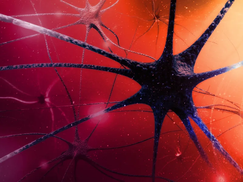 3D rendering of interconnected neurons in the brain, symbolizing central nervous system expertise and research.